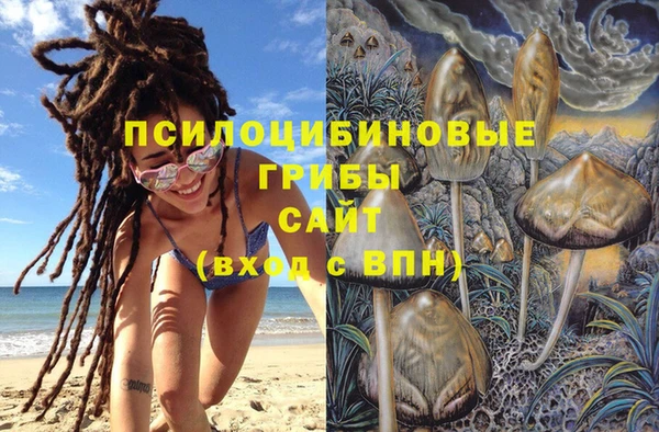 каннабис Алзамай