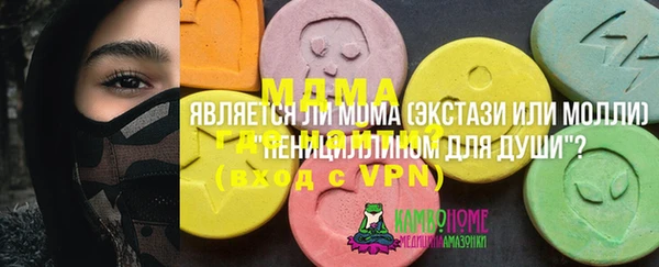 гашик Алексеевка