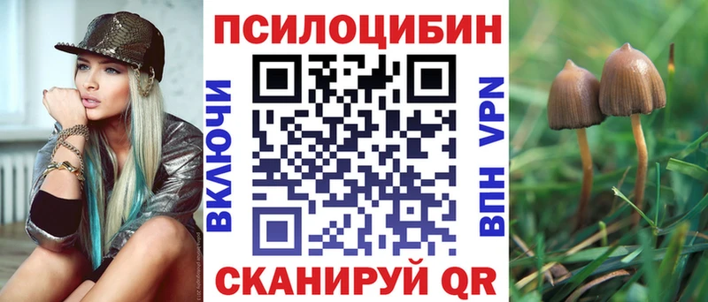 Псилоцибиновые грибы Magic Shrooms  нарко площадка какой сайт  Чайковский 