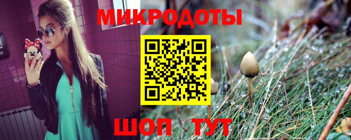 Чайковский  Галлюциногенные грибы мицелий  Вход с VPN  наркотики  Псилоцибиновые грибы мухоморы 