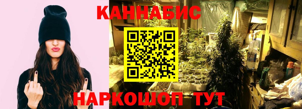 Каннабис THC 21%  Вход с VPN  Чайковский  МАРИХУАНА план 